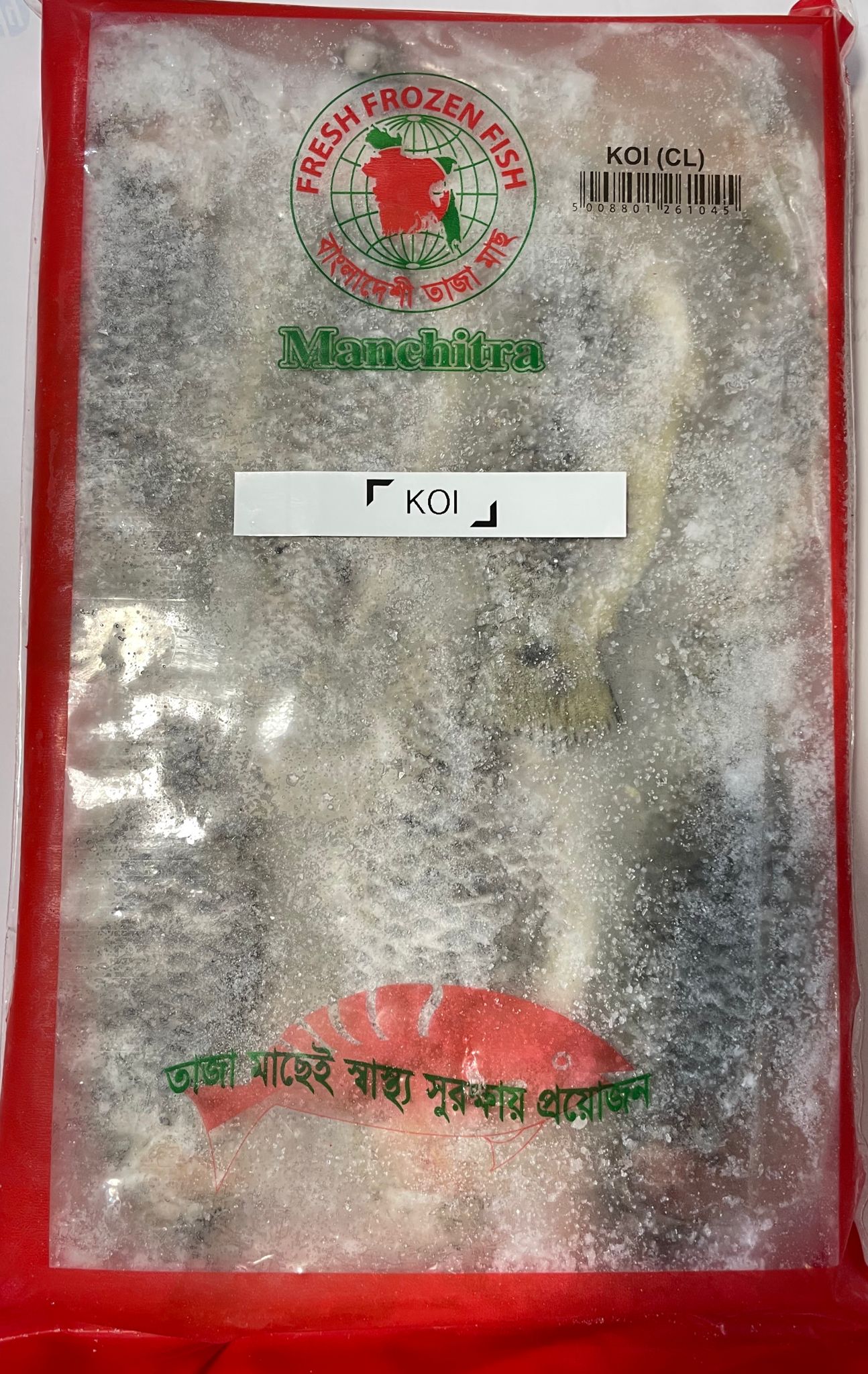 Koi Fish (কৈ মাছ) |