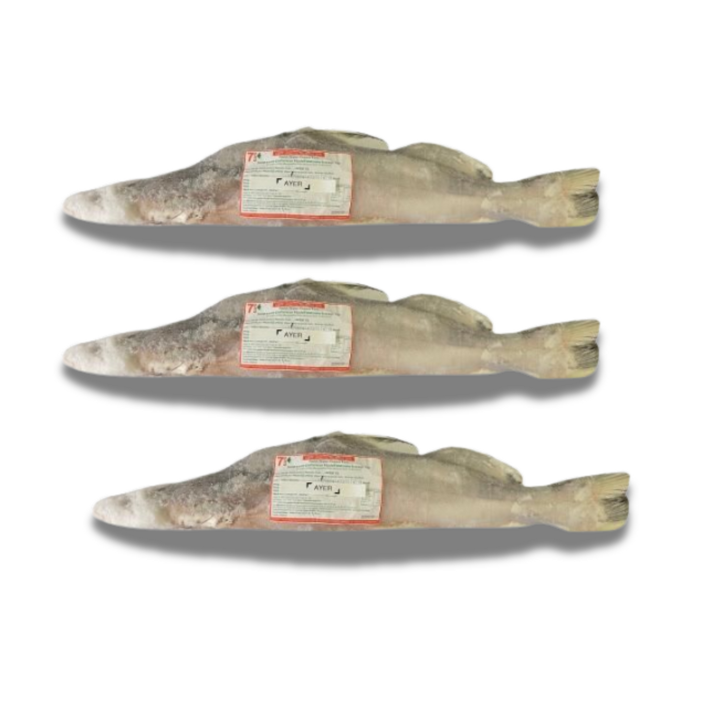 Frozen Ayer Fish