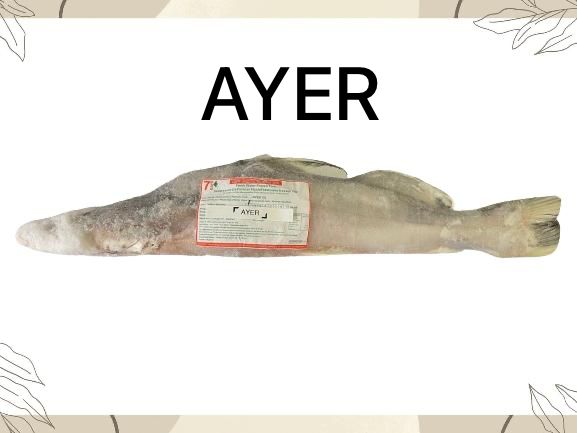 Frozen Ayer Fish