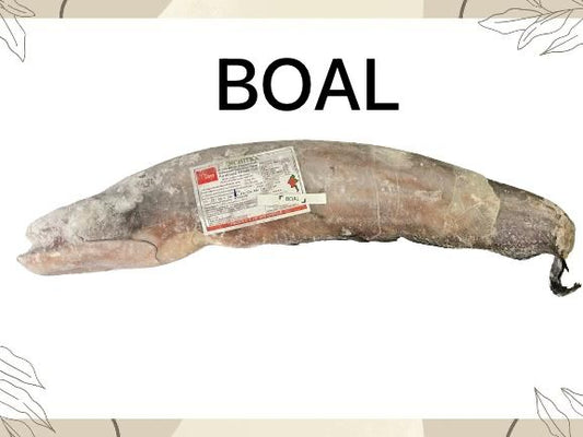 Boal Fish (বোয়াল মাছ)
