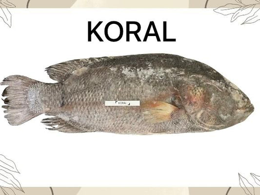 KORAl Fish (কোরাল মাছ)